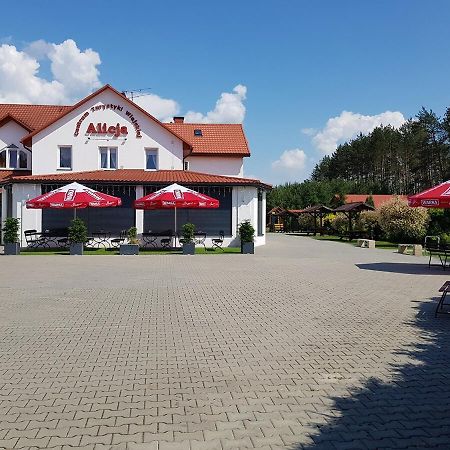 Ksiezpol Centrum Turystyki Wiejskiej Alicja מראה חיצוני תמונה