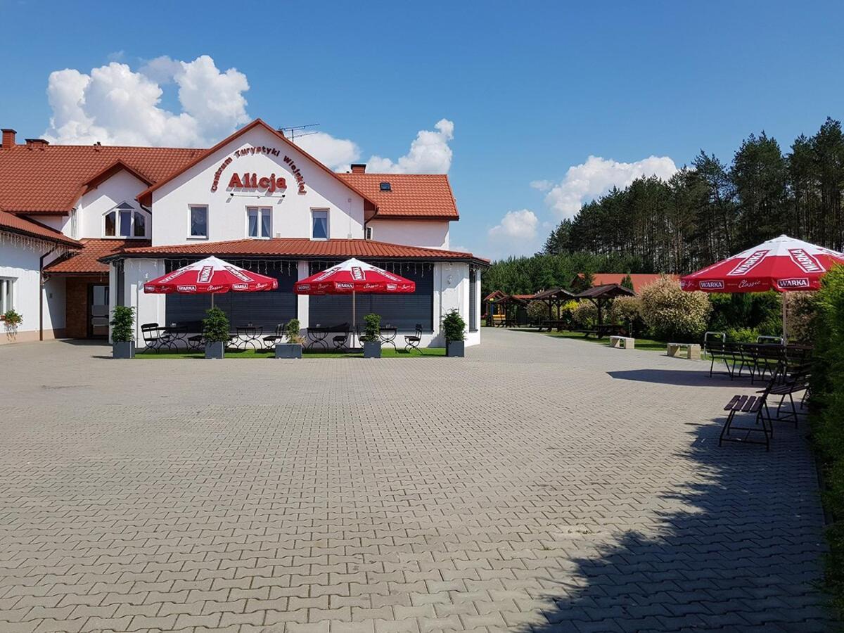 Ksiezpol Centrum Turystyki Wiejskiej Alicja מראה חיצוני תמונה